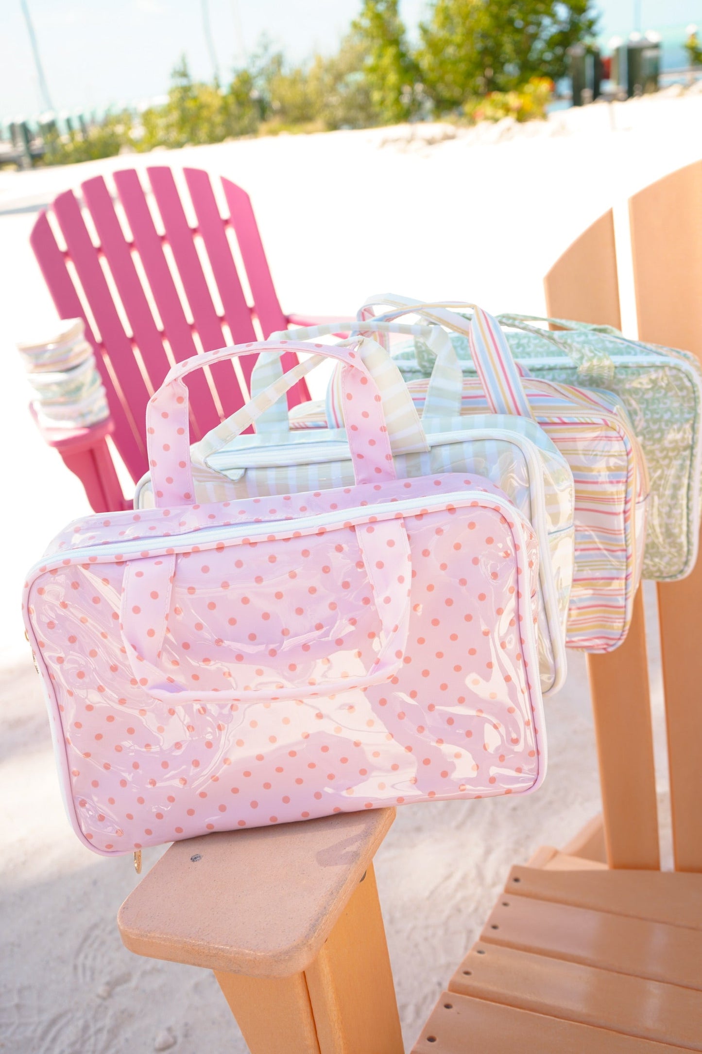 Clear Coat Toiletry Case