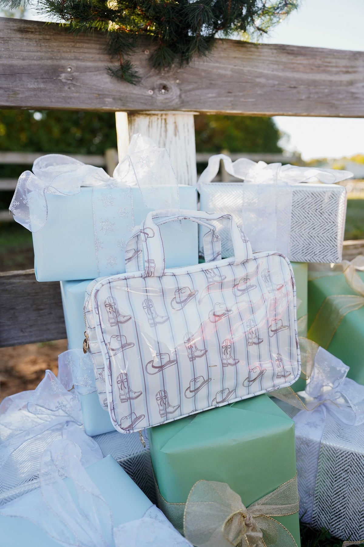 Western Blues Striped - Clear Coat Toiletry Case
