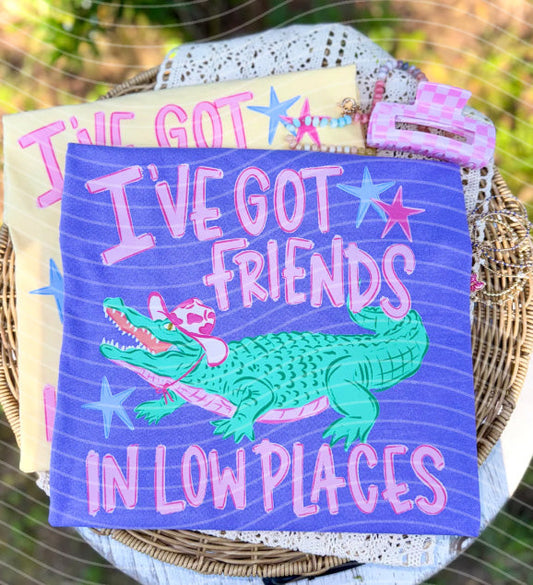 I've Got Friends in Low Places Graphic Tee